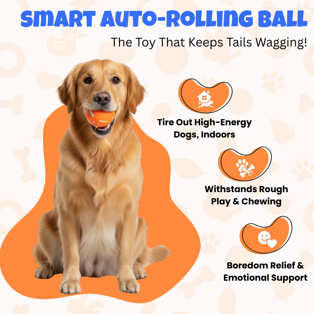 Smart Auto-Rolling Ball