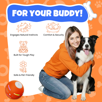 Smart Auto-Rolling Ball