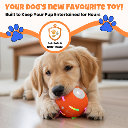 Smart Auto-Rolling Ball