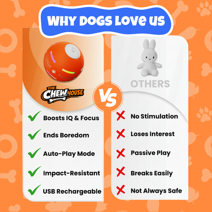 Smart Auto-Rolling Ball