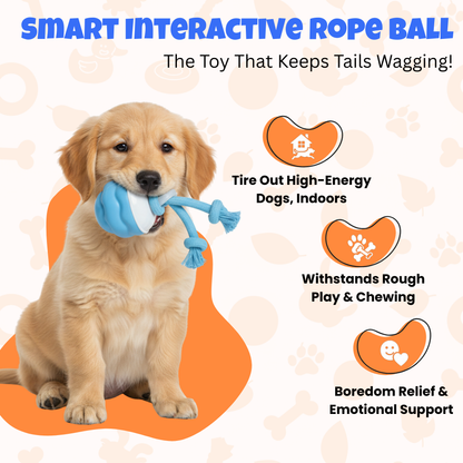 Smart Interactive Rope Ball