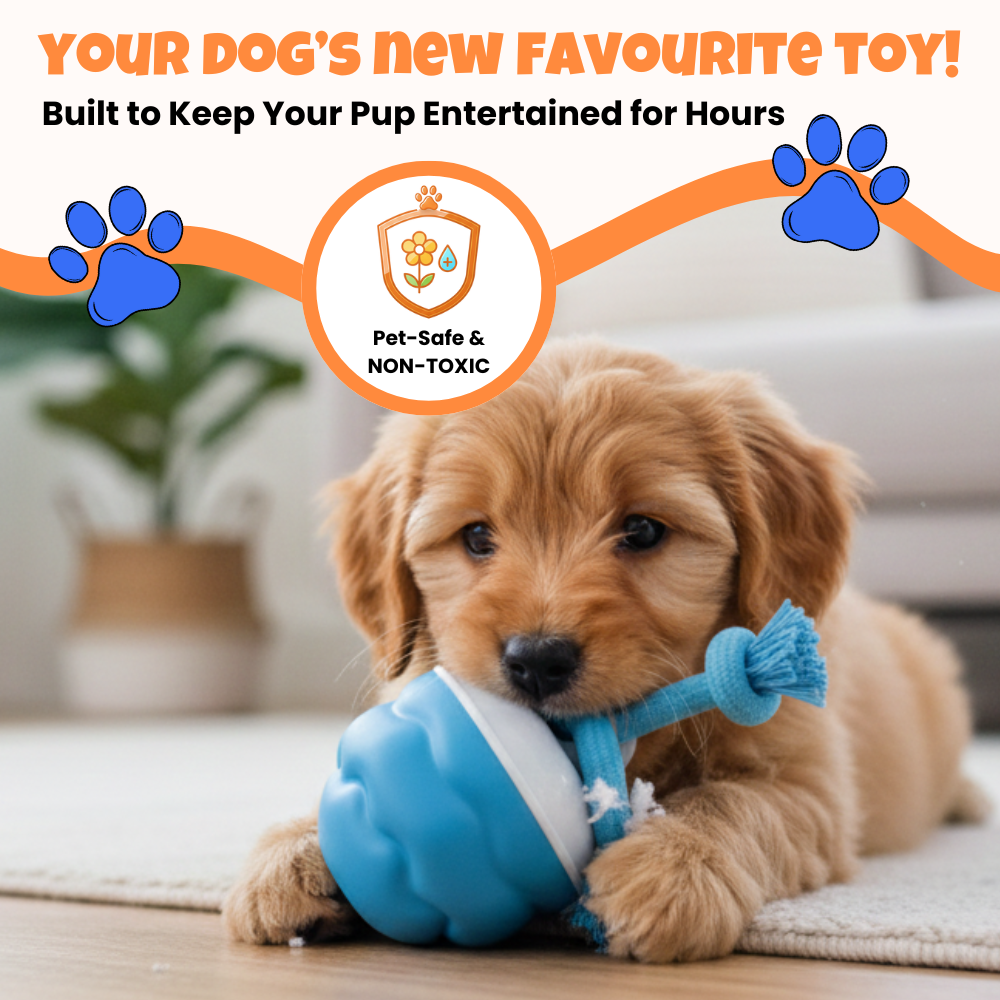 Smart Interactive Rope Ball