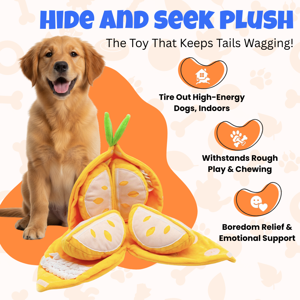 Hide and Seek Plush