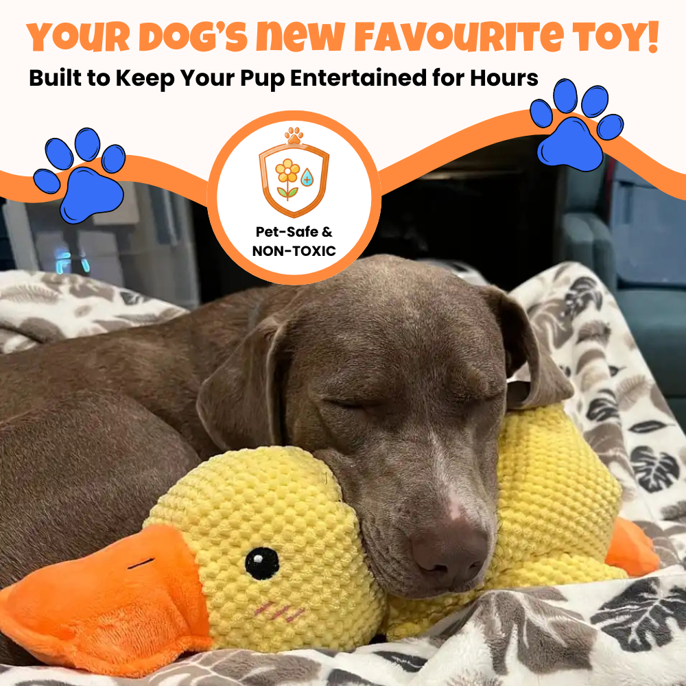 Calming Durable Duck